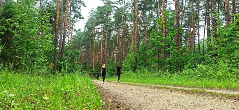 Read more about the article „Nasz Powiat, Nasze Pasje” – Sanus Vivere – Nordic Walking